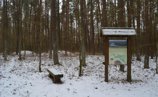 15_Žingių pilkapiai Viniaus r. 2016 (1).jpg